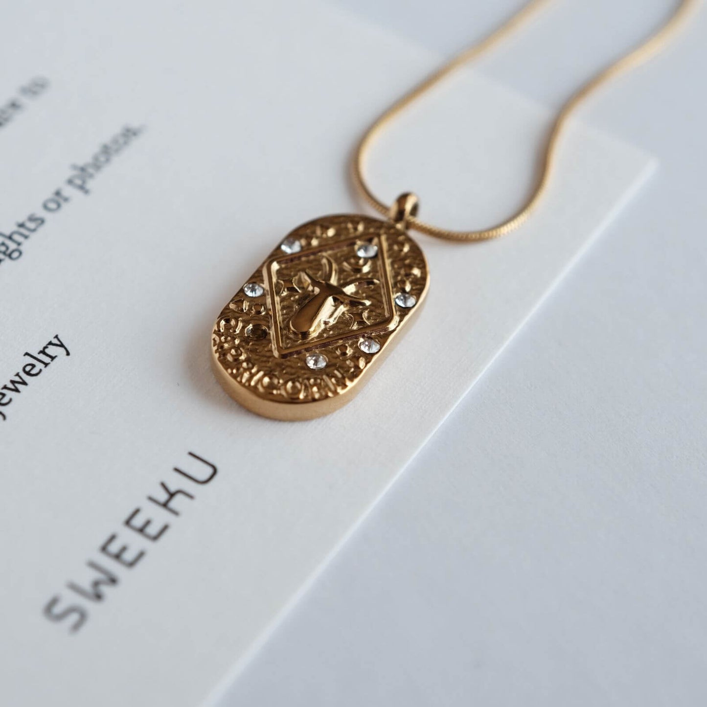 Golden Zodiac Medallion Necklace – 18K Gold Plated