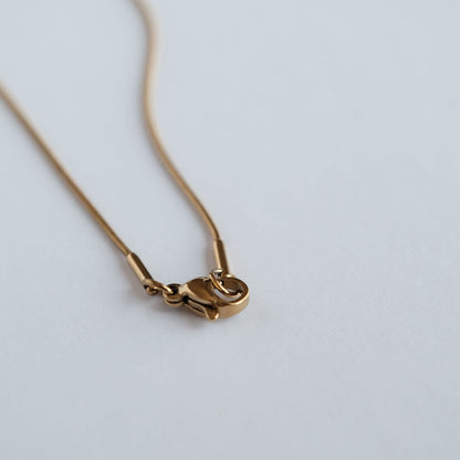 Golden Zodiac Medallion Necklace – 18K Gold Plated